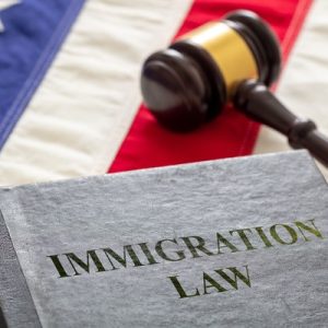 A gray hardcover book with "Immigration Law" on the cover and a brown judge's gavel sitting on top of an American flag.