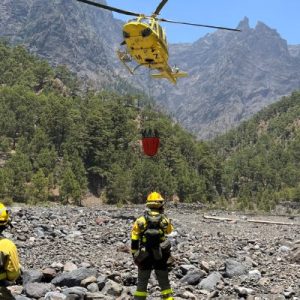 Two wildland firefighters wearing black and yellow protective equipment walk in mountains surrounded by forest.