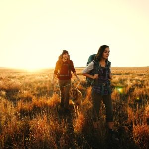 A couple hiking in the wilderness during the sunset. They're hiking through high grass in a remote area.