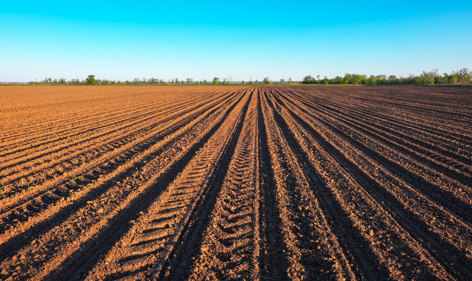 Previously plowed soil features neat rows and tire tread marks in a field. Trees and a blue sky are in the distance.