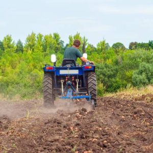 A farmer driving a blue compact tractor over his potato field, using a rear-mounted harvester to gather his crop.