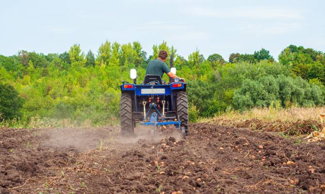 A farmer driving a blue compact tractor over his potato field, using a rear-mounted harvester to gather his crop.