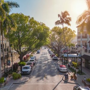 A street is lined with palm trees, parked cars, businesses, and other mature trees. The sun is shining down on the street.