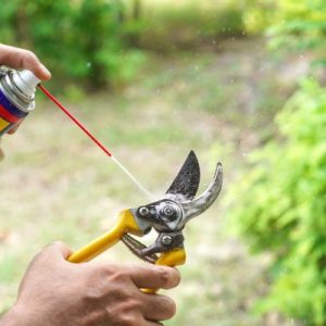 A close-up of a man spraying lubricating oil onto some small yellow pruning shears. Grass and bushes are in the background.