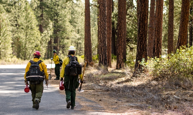 A group of three wildland firefighters, wearing protective equipment and hard hats, walk through a forest.