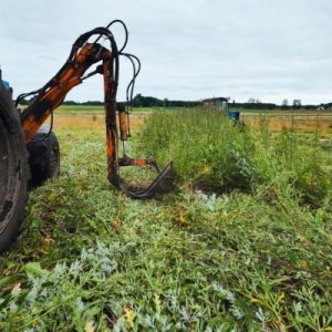 A tractor cutting grass with a rotary mower, creating straight rows across a large field under an overcast sky.