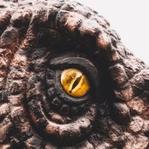 A close-up of a partly-seen dinosaur that has brown, scaly skin and an amber-colored eye over a white background.