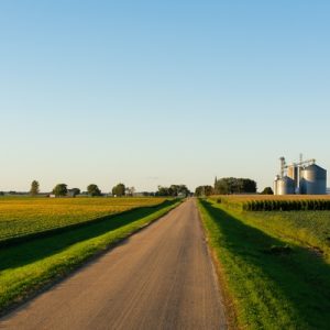 A rural road that leads toward a farm with several silos. Farming fields are on either side of the road.
